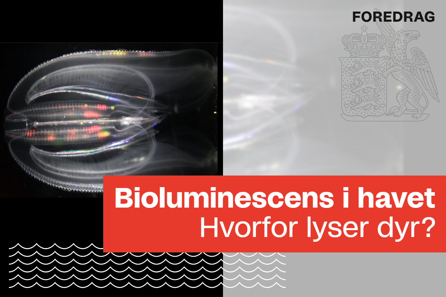 Bioluminescens i havet: Hvorfor lyser dyr?